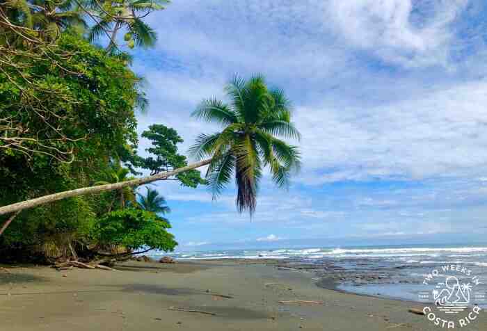 Comment faire pour être résident au Costa Rica ?