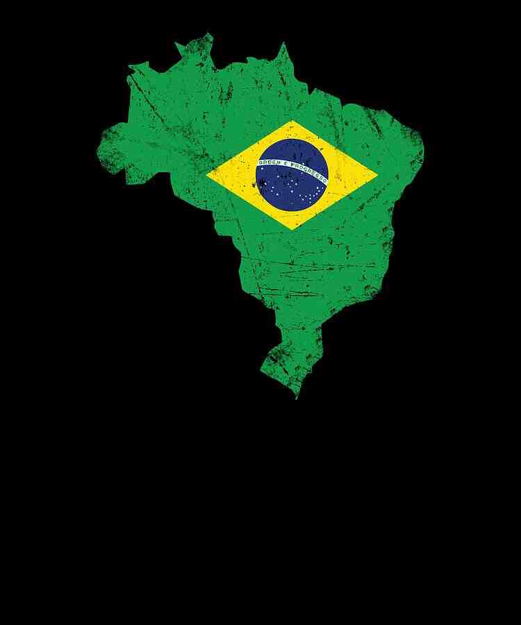 Qui est le drapeau brésilien ?