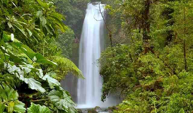 Pourquoi le Costa Rica est la première destination touristique d'Amérique latine ?