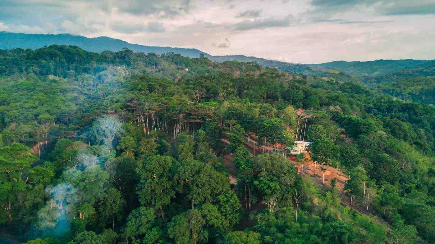 Quelles sont les conséquences du développement du tourisme sur l'environnement du Costa Rica ?