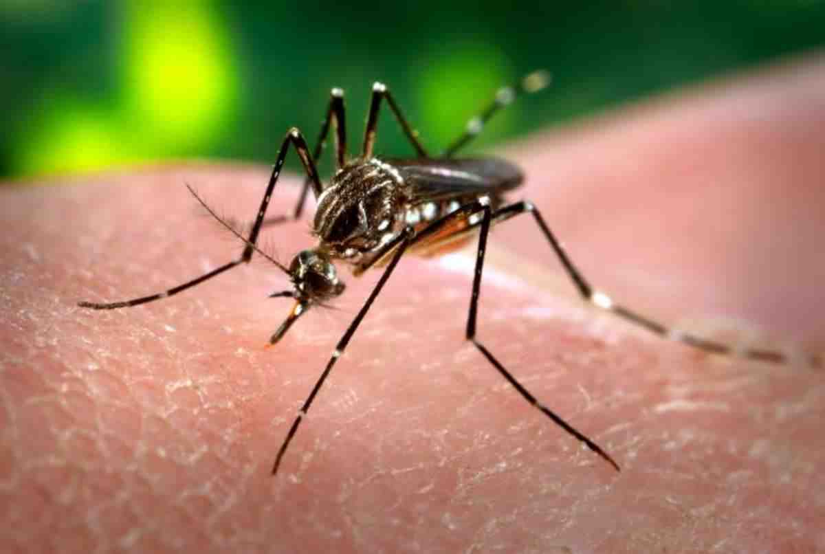 Quelle est la méthode de dépistage la plus fréquente d'infection au virus Zika ?